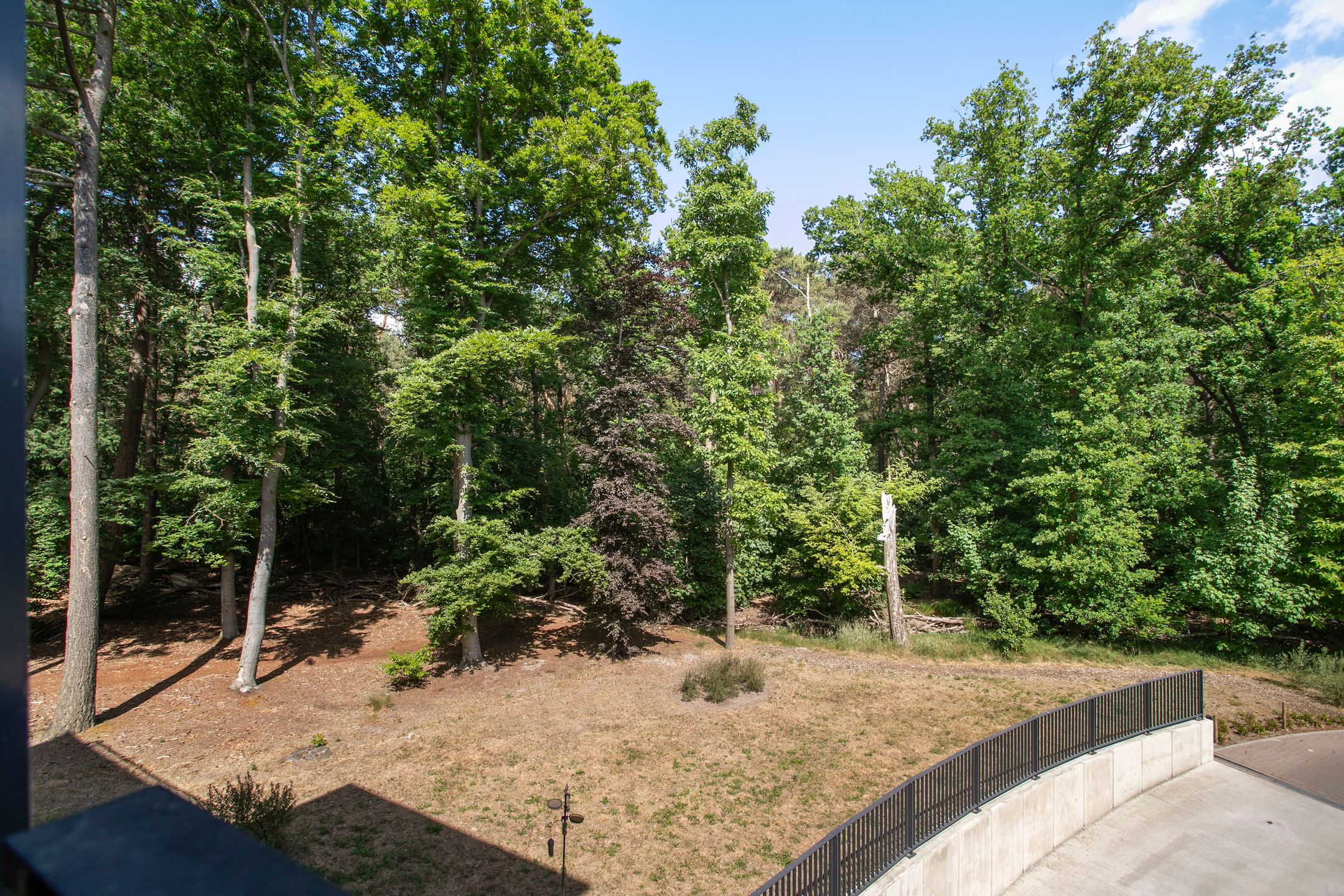 Foto 3 van Paterslaan 41