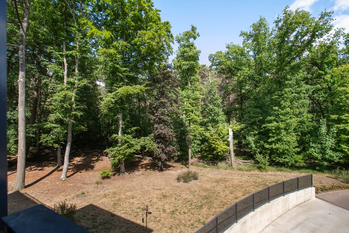 Photo 3 of Paterslaan 41