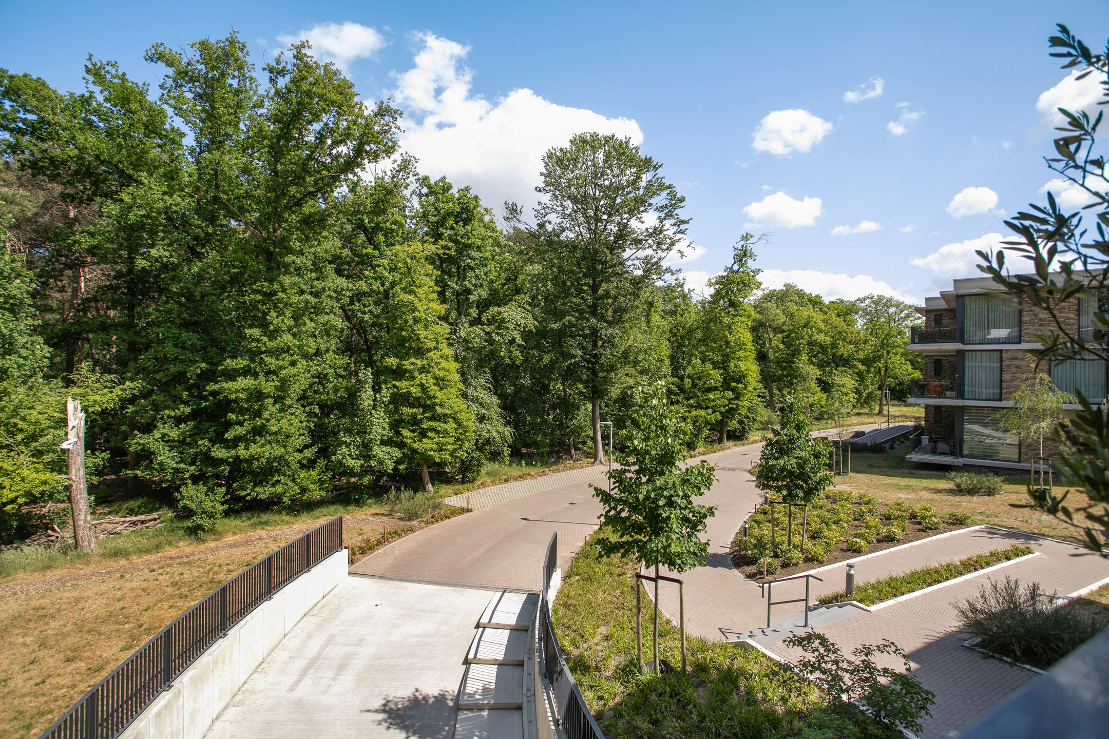 Foto 6 van Paterslaan 41