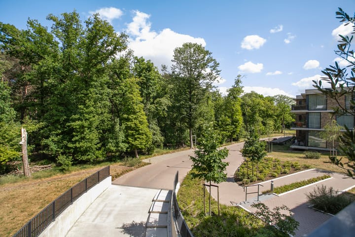 Photo 6 of Paterslaan 41