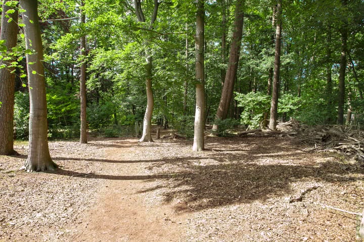 Photo 38 of Paterslaan 41