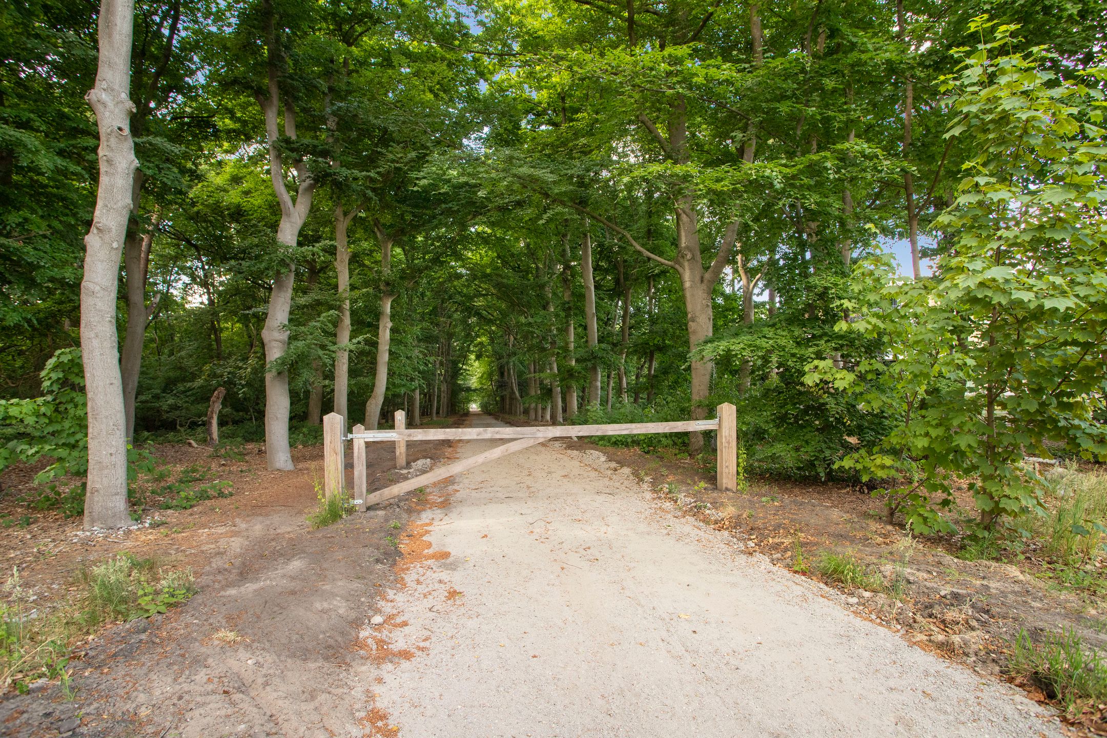 Foto 39 van Paterslaan 41