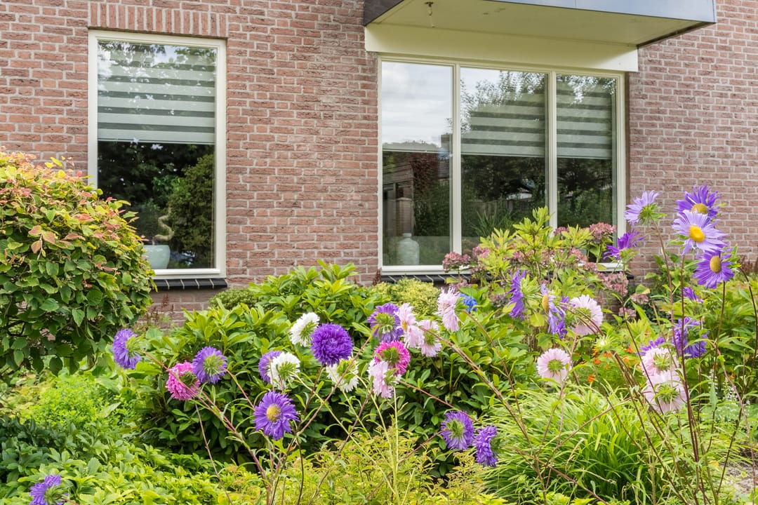 Foto 7 van Wikkestraat 4