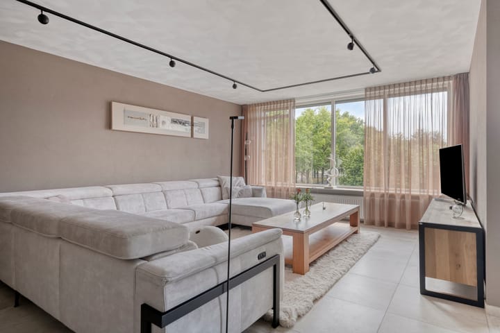 Foto 2 van Aalscholver 24