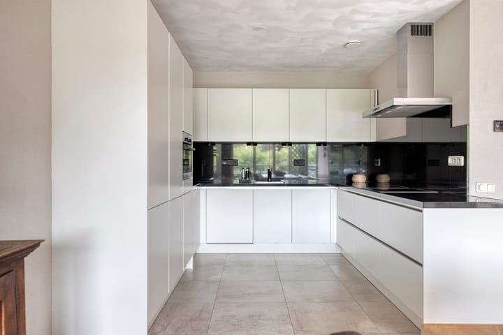 Foto 3 van Aalscholver 24