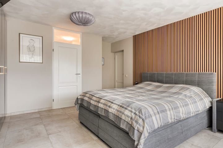 Foto 5 van Aalscholver 24