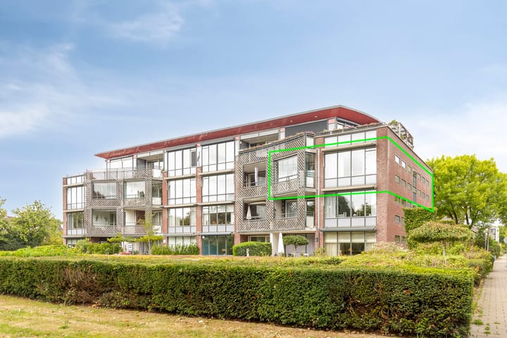 Foto 6 van Aalscholver 24