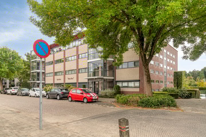 Foto 7 van Aalscholver 24