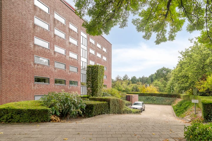 Foto 8 van Aalscholver 24