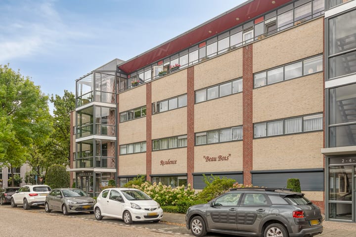 Foto 9 van Aalscholver 24