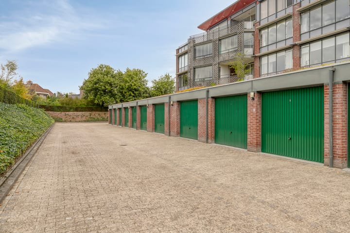 Foto 11 van Aalscholver 24