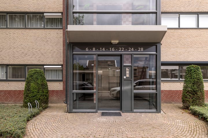 Foto 12 van Aalscholver 24