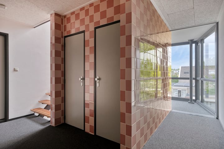 Foto 13 van Aalscholver 24