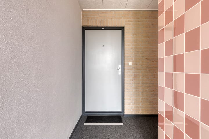 Foto 14 van Aalscholver 24