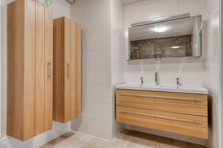 Foto 21 van Aalscholver 24