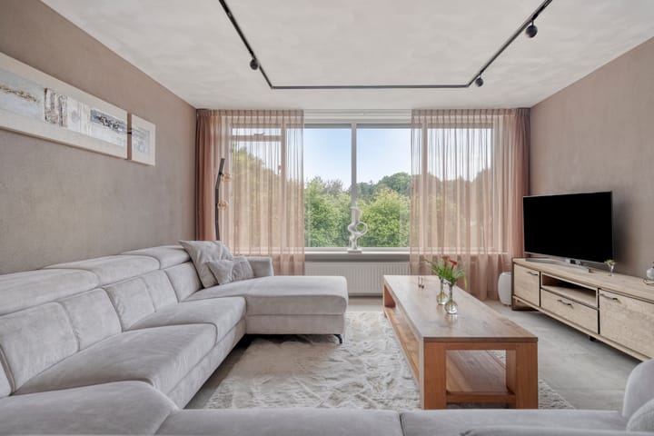 Foto 27 van Aalscholver 24