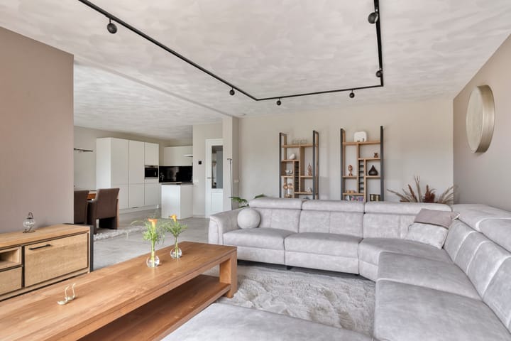 Foto 29 van Aalscholver 24