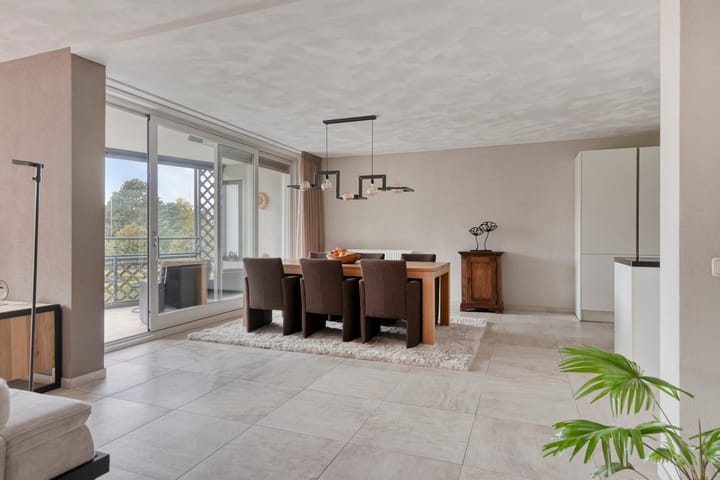 Foto 30 van Aalscholver 24