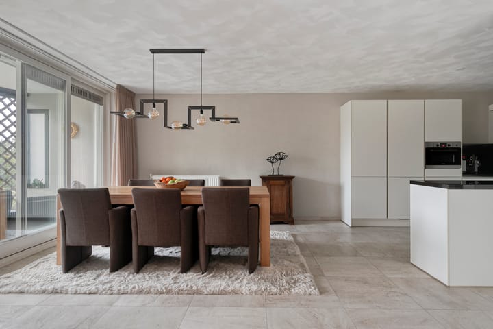 Foto 31 van Aalscholver 24