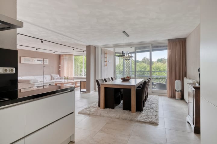 Foto 36 van Aalscholver 24