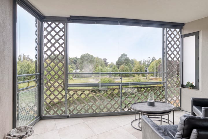 Foto 37 van Aalscholver 24