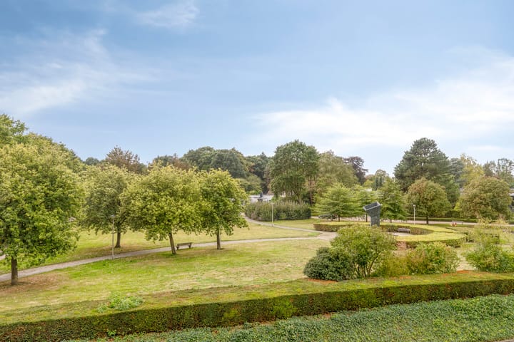 Foto 40 van Aalscholver 24