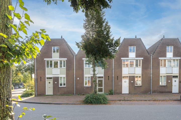 Photo 2 of Meeuwenlaan 103