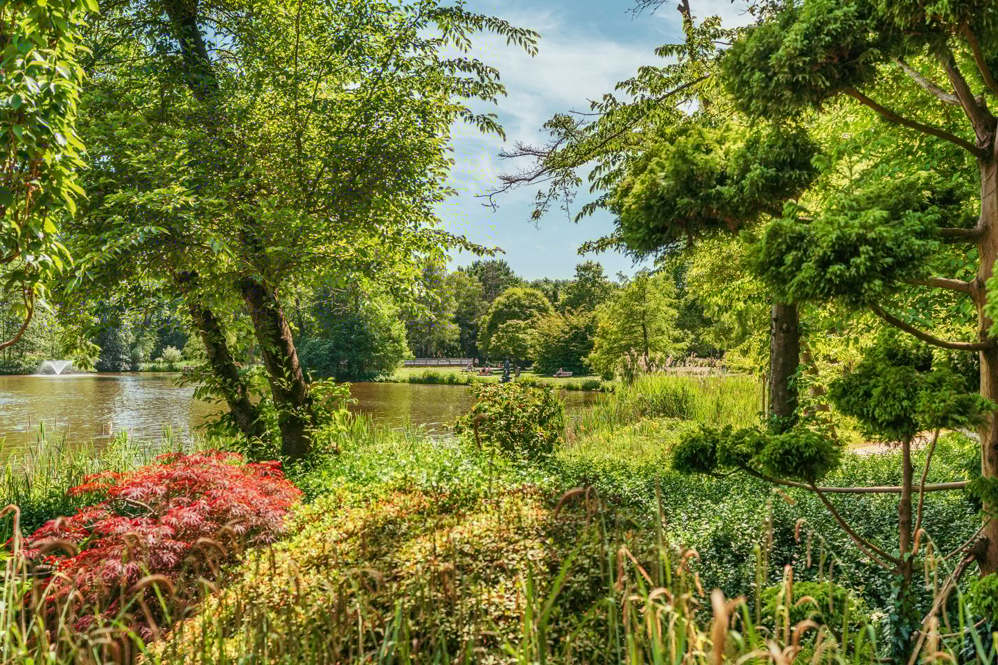 Foto 65 van Keverberg 41