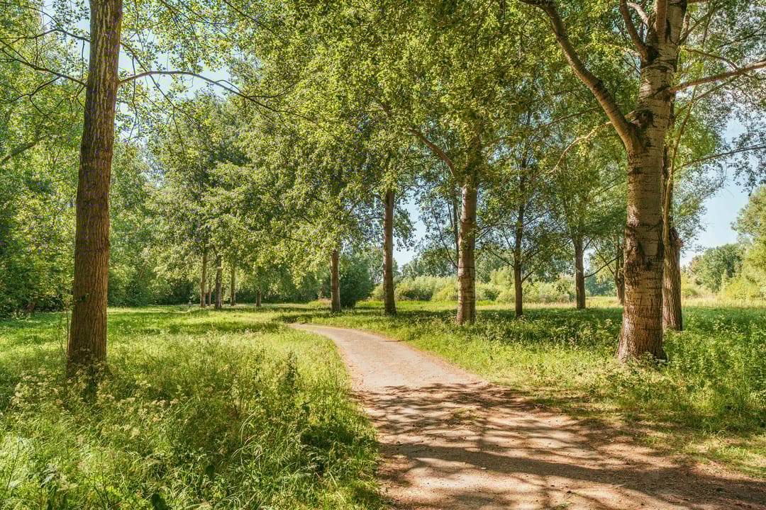 Foto 67 van Keverberg 41