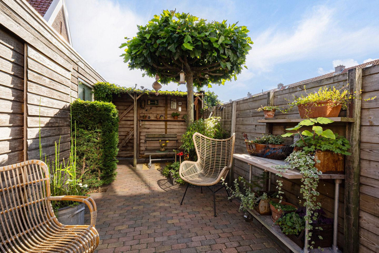 Photo 29 of Paulus Potterstraat 39