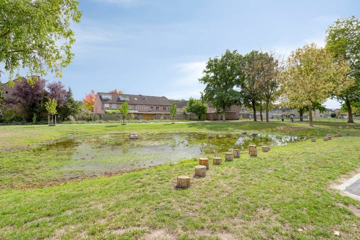 Foto 34 van Begoniastraat 13