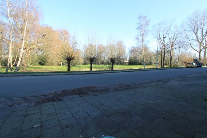 Foto 2 van Seringenlaan 20