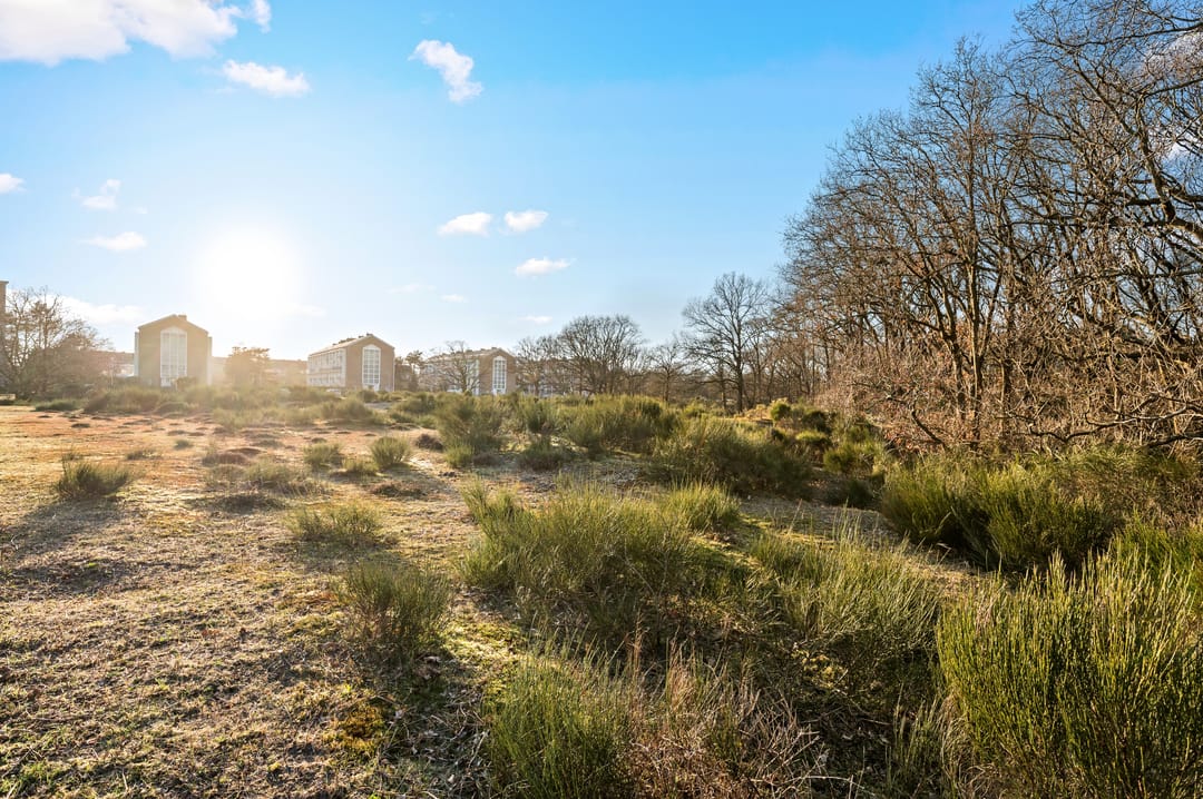 Foto 47 van Fuchsiastraat 80