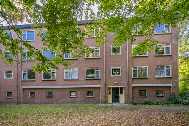 Foto 24 van Meidoornlaan 9-01