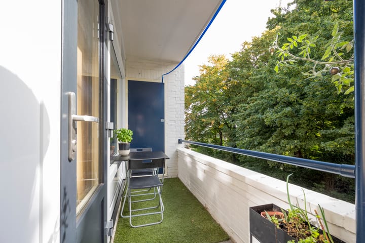 Foto 10 van Meidoornlaan 9-01