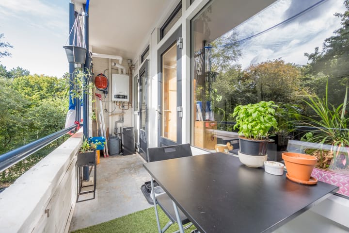 Foto 11 van Meidoornlaan 9-01