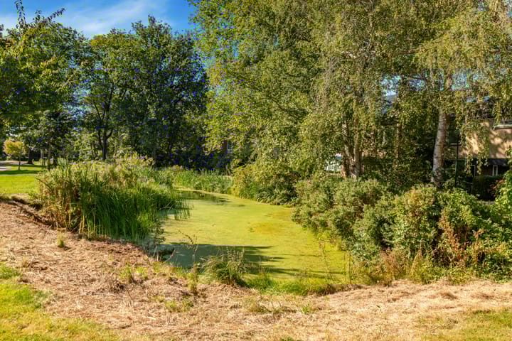 Foto 41 van Vrieswijk 29