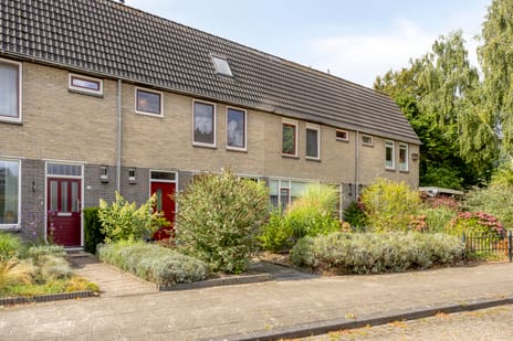 undefined main image