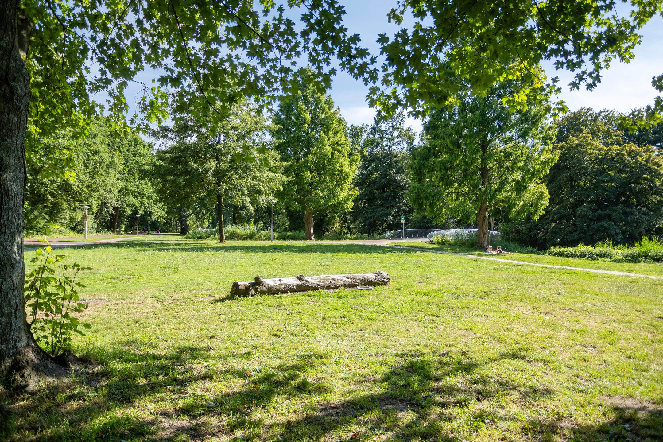 Foto 27 van Orteliusstraat 216-1