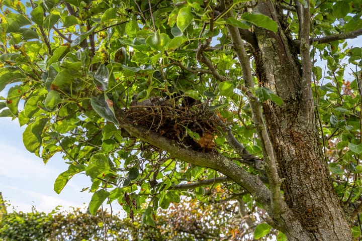 Foto 37 van Groenveld 5