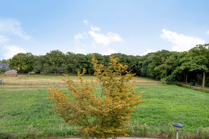 Foto 43 van Groenveld 5