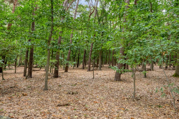 Foto 46 van Groenveld 5