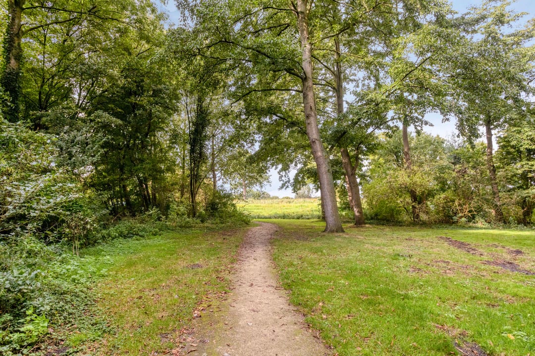 Foto 32 van Burgemeester D. Kooimanweg 669