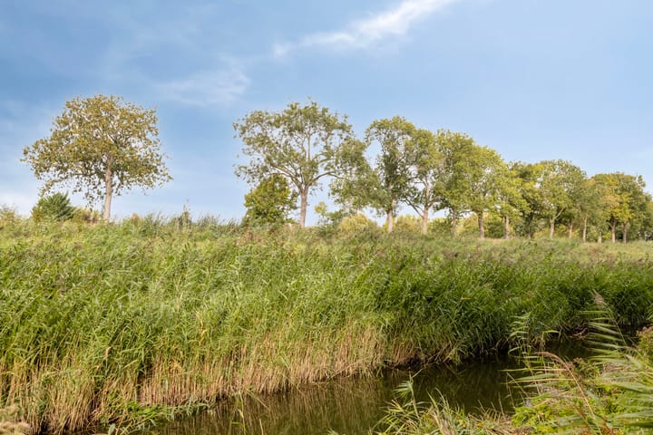 Foto 33 van Burgemeester D. Kooimanweg 669