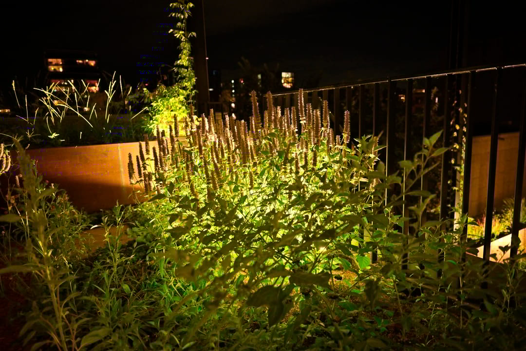 Photo 31 of Rijnlandlaan 245