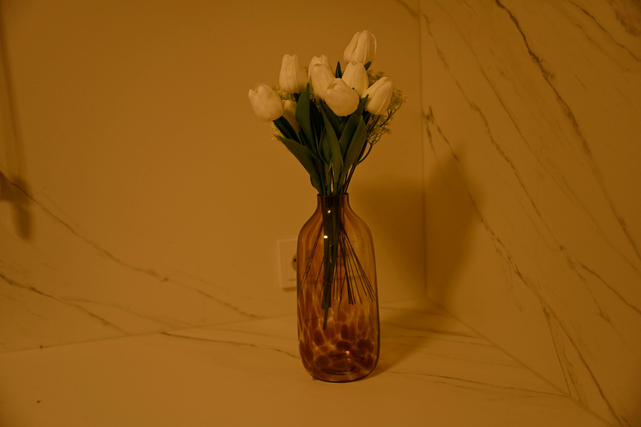 Photo 12 of Rijnlandlaan 245