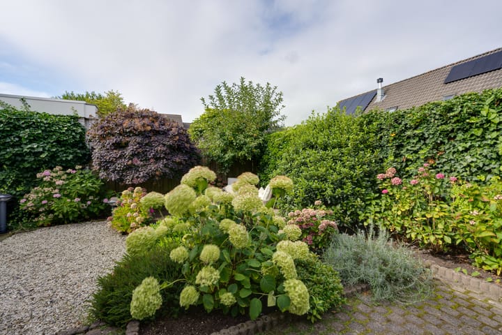 Foto 35 van Speulderbos 31