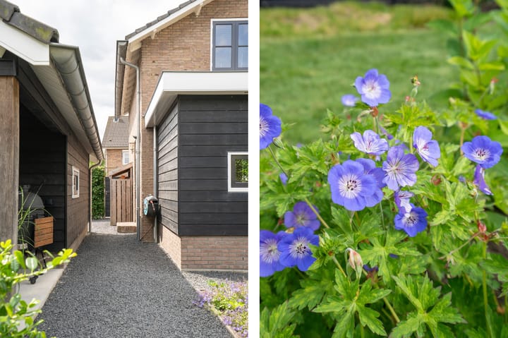 Photo 37 of Jagerslaan 36