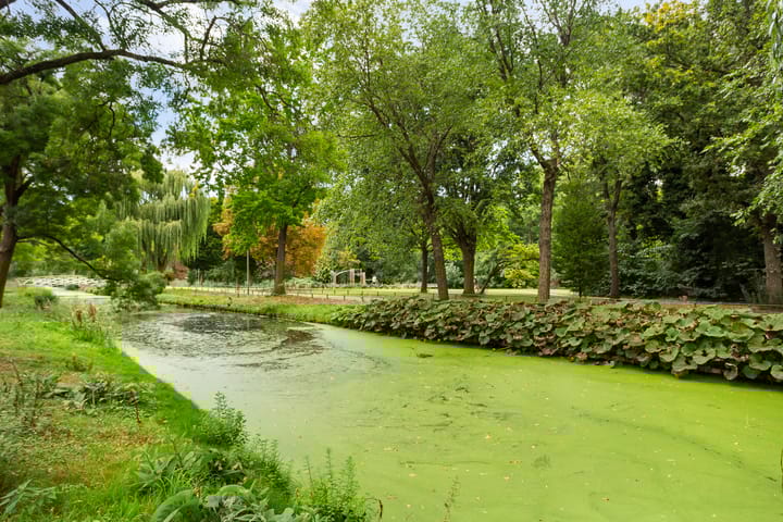 Foto 39 van Erasmussingel 54