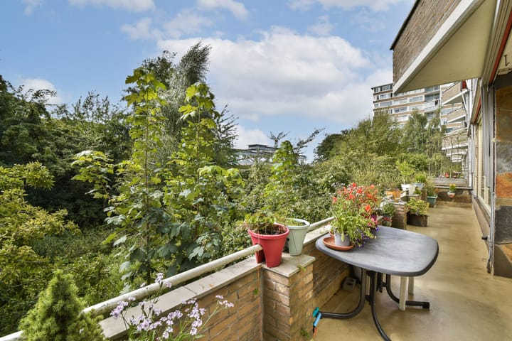 Foto 8 van Meander 777